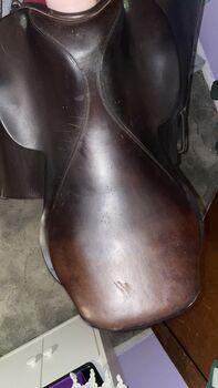 16inch seat no name brand, Danielle Balducci , All Purpose Saddle, Walden