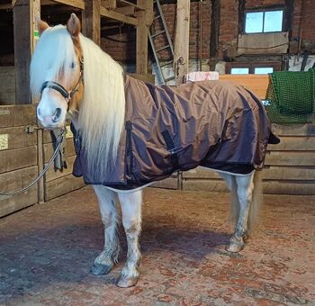 170€% NEU 600D braun BTS Regendecke m. Fleece braun KALTBLUT Freiberger Noriker Haflinger 59 €, BTS Bywater  Regendecke m. dickem Fleece für Freiberger Noriker Haflinger, Reitartikelbörse (Reitartikelbörse - Onlineshop für Wanderreiter), Pferdedecken, Grevenbroich