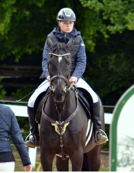 18- jähriger Lehrmeister!, Jeannine Piekenbrock, Horses For Sale, Meschede 