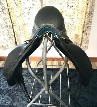 18” Voltaire Adelaide Dressage MW Voltaire  Adelaide 