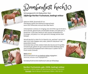 18jährige Noriker-Fuchsstute, bedingt reitbar, Andrea, Pferd kaufen, Velden am Wörthersee