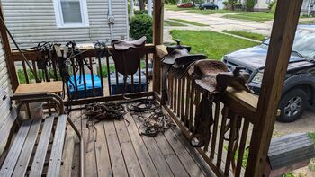 19.5-20" saddles (3) straps,harnesses, riding equipment, Multiple brands, Samantha Meade, For Horses, Lorain