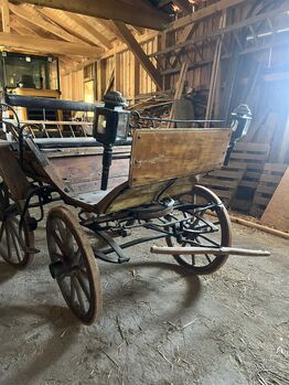 1spänner Kutsche, Helena Henninger, Carriages, Steyregg
