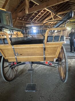 2&4spänner kutsche, Helena Henninger, Carriages, Steyregg