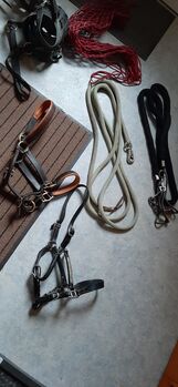 2 Lederhalfter, Kleene, Halters, Auengrund