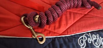 2 Führstricke abzugeben,  stabil, etwas dicker