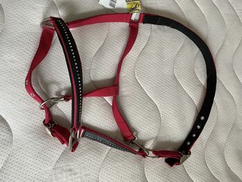 2 Neue Halfter, Mady, Halters, Balge