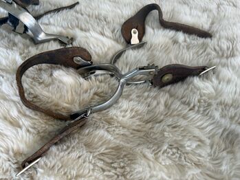 2 Sporen Paare, Pia Eichholzer, Whips, Horriwil