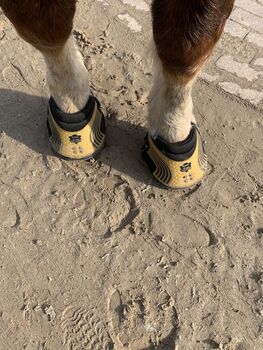 2 Stück Easyboot New Trail Größe 12 - Kaltblut -  Easyboot New Trail Größe 12   Easyboot New Trail Größe 12 