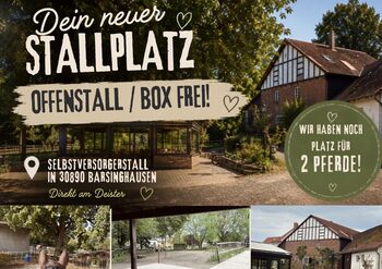 2 Plätze im Offenstall / Box in 30890 frei, Schper , Stallplätze, Barsinghausen
