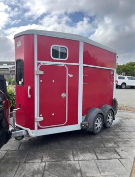 2017 Ifor Williams HB506 Double Horse Float – Carries 2 × 16.2hh | WOF & Rego, James Parker , Przyczepa konna, Hamilton 