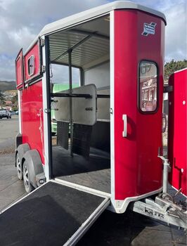 2017 Ifor Williams HB506 Double Horse Float – Carries 2 × 16.2hh | WOF & Rego