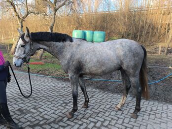 2023 Wallach Escanto