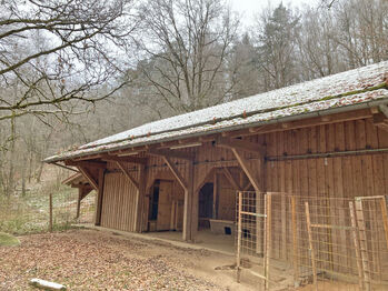 2549 Bayern, Oberpfalz, Landkreis Cham, 93199 Zell, Haus mit Pferdestall und See zu verkaufen