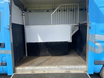 3.5 tonne Renault Master Horse lorry, Renault Master, Melissa Cox , Przyczepa konna, Whitland