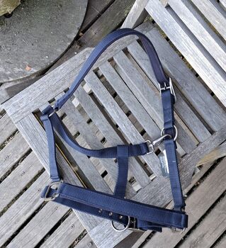 3 neue Pony Halfter (Paket)