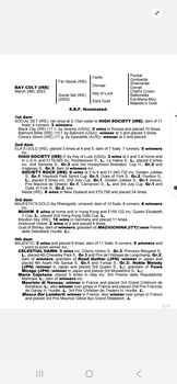 3 year old thoroughbred colt, stephen odea, Pferd kaufen, Galway