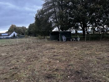 31311 Offenstall für Kleinpferd/Pony