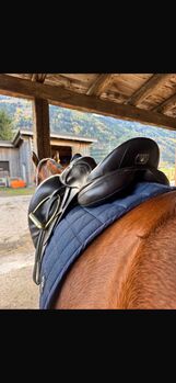 3s Bentley Performance Dressursattel 3s Bentley Performance