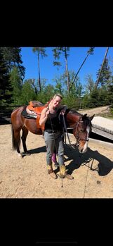 4 jähriger Quarter Horse Wallach, Anja Helmel, Horses For Sale, Sankt Willibald 