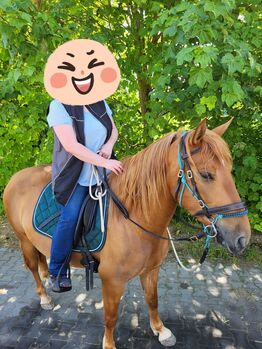 4 Jährige Lusitano Mix Stute sucht neues Zuhause, Katrin , Konie na sprzedaż, Riedenburg