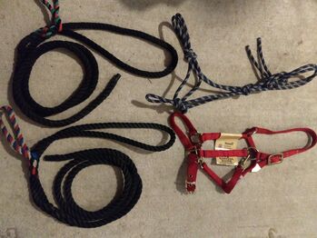 4 x Halfter Harburger Hamilton neu, Hamilton  Arabian small, Chriss, Halters, Weyhe