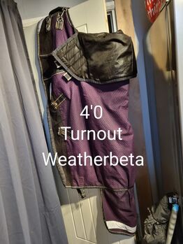 4'0 Turnout Weatherbeta, Weatherbeta , Charlotte , Horse Blankets, Sheets & Coolers, ROSSENDALE