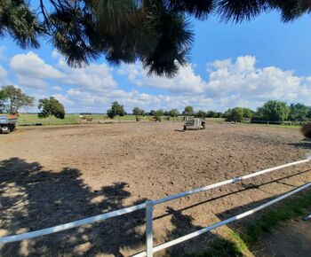 5 Boxen frei inkl. Misten, Heu, Hafer, Stroh, Koppel und Reitplatz, Josi, Horse Stables, Oderaue