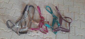 5 Halfter WB, teils Eskadron, 15 Euro inkl Versand, Maresa, Halters, Pfullingen