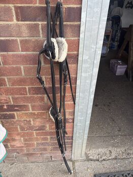 5 Point Breastplate Shires  5 Point Breastplate Full Size 