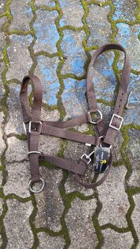 56€% REDUZIERT XXF XXXF Shirehorse KALTBLUT Heavy PP Halfter 38mm BRAUN Dornschnalle, BTS Bywater  Kaltbluthalfter XF XXF XXXF, Reitartikelbörse (Reitartikelbörse - Onlineshop für Wanderreiter), Halters, Grevenbroich