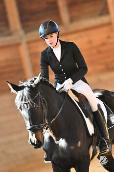 6 jährige Stute mit viel „Go“, Carina Ehrentraut, Horses For Sale, Perg