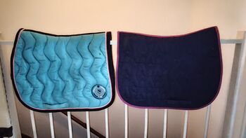 6 sjabrakken, Mickey, Dressage Pads, 's-Heerenberg