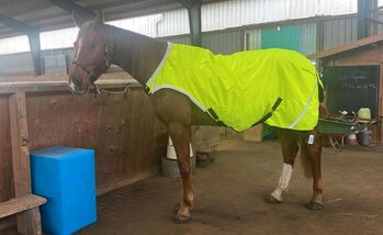 600D Walker Führanlagendecke neongelb REFLEX 100g 3000mm BTS Bywater International Clothing 600D Neon Reflex Walker Führanlagendecke 100g