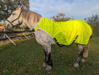 600D Walker Führanlagendecke Kaltblut 165 175 neongelb REFLEX 100g 3000mm, BTS Bywater International Clothing Walker Führanlagendecke, Reitartikelbörse (Reitartikelbörse - Onlineshop für Wanderreiter), Derki dla konia, Grevenbroich