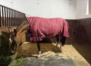 600D eQuiTack Regendecke Highneck 125 145 155 rot kariert mit Polar Fleece 3000mm EquiTack 600D Regendecke mit Polarfleece