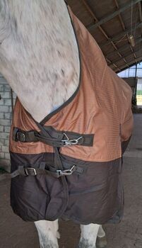 600D Riders King Regendecke Highneck 135 145 155 braun beige Polar Fleece 3000mm Riders Ring 600D Highneck Regendecke personalisierbar mit Fleece