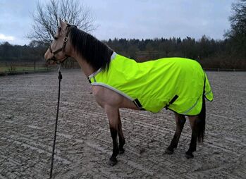 600D Walker Führanlagendecke 125 135 145 neongelb REFLEX 100g 3000mm, BTS Bywater International Clothing 600D Neon Reflex Walker Führanlagendecke 100g, Reitartikelbörse (Reitartikelbörse - Onlineshop für Wanderreiter), Pferdedecken, Grevenbroich