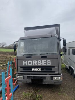 7.5 T horse box, Iveco Ford, Danni, Pferdeanhänger, Hailsham