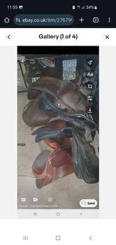 7 saddles in total, Kelly johnson , Vielseitigkeitssattel (VS), Jarrow