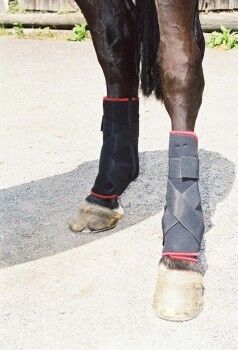 7160 TSM vet-Reha Fesselkopfbandage hinten, PJ, Ochraniacze, Ochsenausen