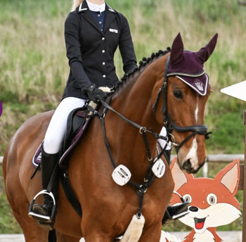 8 jähriges Springpferd mit Turniererfahrung, Karina Hell, Horses For Sale, Freystadt
