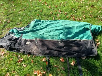 80' Sheet in great condition, Rugged Ride, Emily, Horse Blankets, Sheets & Coolers, West Chazy 