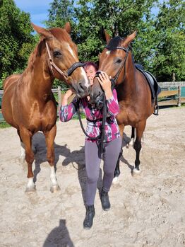 Ein Leben in Balance – Energetische Hilfestellungen für deine Fellnase, Sybille Baier, Therapy & Treatment, Herzberg am Harz