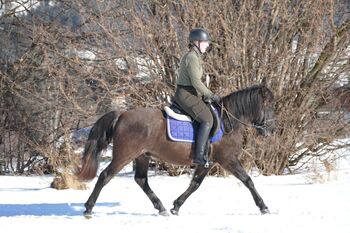 Ein Rohdiamant mit Potential