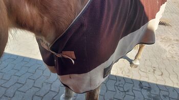 Abschwitzdecke, Kathi, Horse Blankets, Sheets & Coolers, Vechta