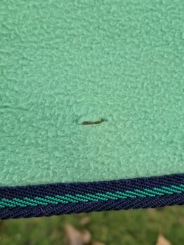 Abschwitzdecke mintgrün HKM 145 cm HKM