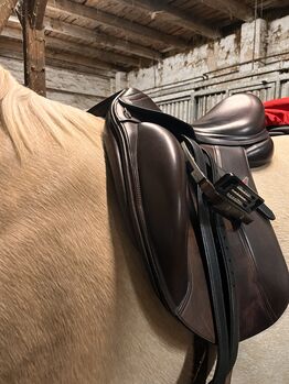 Absolutes Schnäppchen! Selleria Equipe Olymp Dressursattel braun 17' Selleria Equipe Olymp