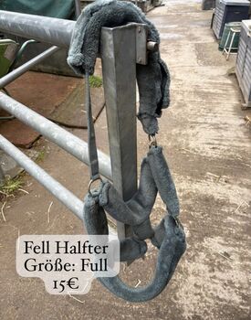 Pferdezubehör, Selina.1204, Other, Neustadt an der Weinstraße 