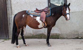 "Action Horse" Lightweight Endurance Westernsaddle, ActionHorse, Nicole, Wanderreitsattel, Lautertal